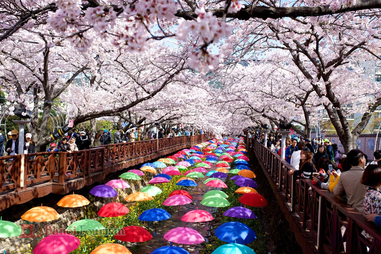 Công viên Yeouido