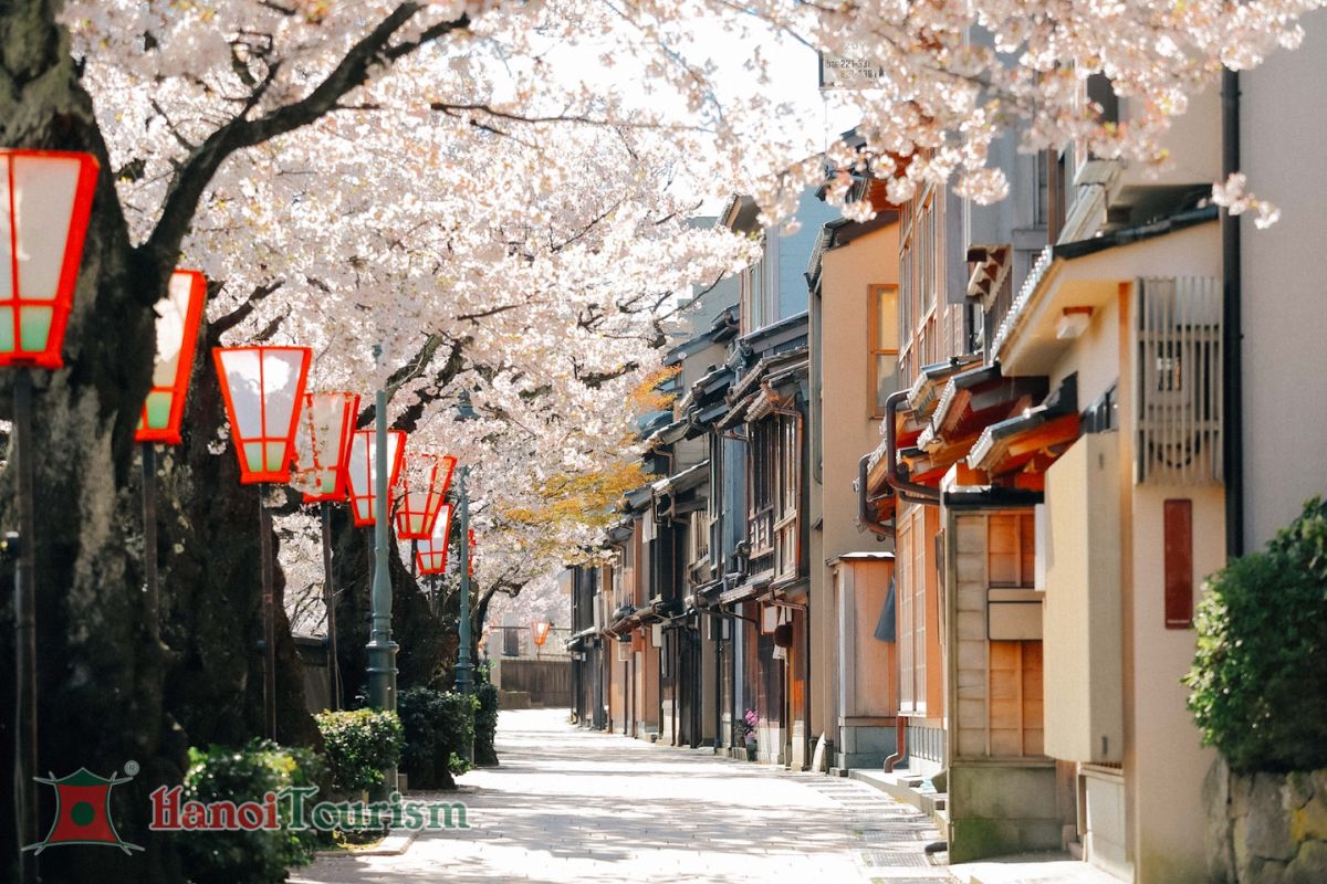 Phố cổ Takayama - Nhật Bản - Mùa xuân