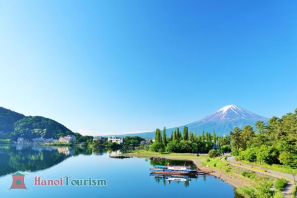 Hồ Kawaguchiko - Oishi Park - Nhật Bản - Mùa hè