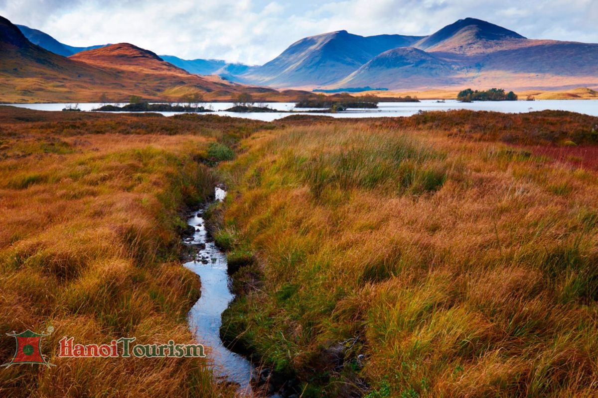 Rannoch Moor -Cao Nguyên Scotland-Anh