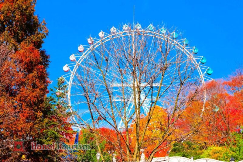 Công viên giải trí của Everland - Hàn Quốc - Mùa thu