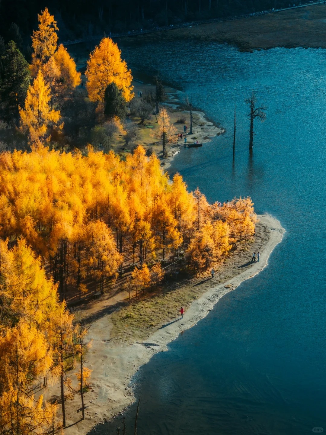 Lam Nguyệt Cốc mùa thu